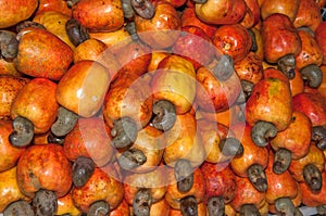 Caju Fruit - Cashews photo
