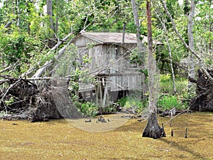 Cajun Fishing Shack