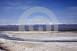 Caka Salt Lake in Qinghai