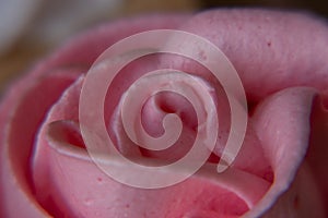 Cake Basket Rose. Food Photography, Dessert, Macro Photography. From above closeup of freshly baked cupcakes