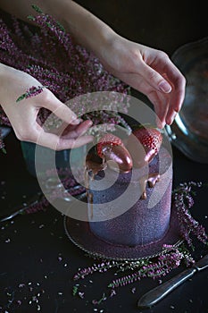 Cake with berries, covered with blue-violet glaze and chocolate with flowers, Cosmic cake, Hand Made pastry with woman hands, Dark