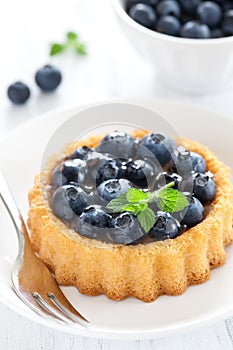 Cake with blueberries