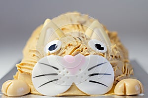 Cake cat,madeira sponge, layered and coated with caramel flavour frosting, finished with edible sugar decorations