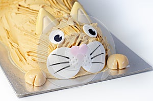 Cake cat,madeira sponge, layered and coated with caramel flavour frosting, finished with edible sugar decorations