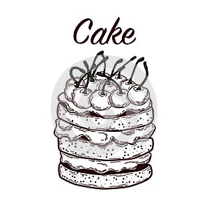 Cake with cherries, chocolate, cream. Hand drawn illustration isolated