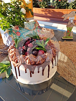Cake chocolate raspberry mint blueberry