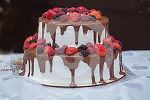 Cake with chocolate and sweet summer berries