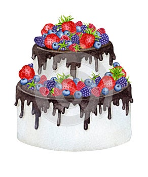 Cake decorated with chocolate and berries. Watercolor holiday clipart