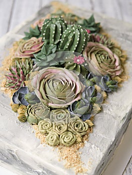 Cake decorated with creamy succulents on a white wooden background with white fabric. Copy space, close up