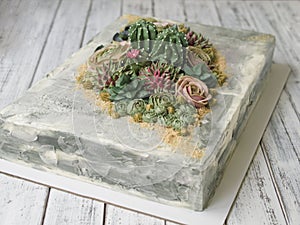 Cake decorated with creamy succulents on a white wooden background with white fabric. Copy space, close up