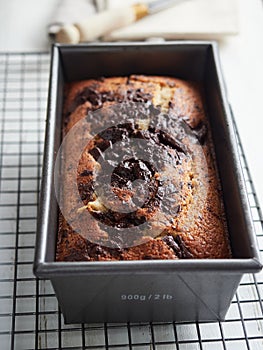 cake freshly baked with chocolate chunks