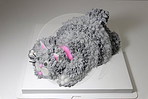 Cake made in the shape of a grey cat with a pink collar. It is doing a crouching pose