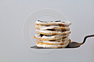 Cake on a pastry shovel on a white background