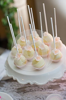 Cake pops and cupcakes