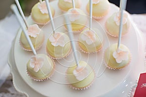 Cake pops and cupcakes