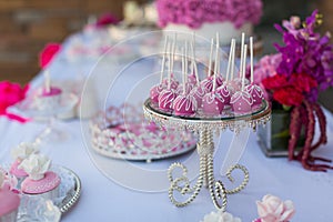 Cake pops and cupcakes photo