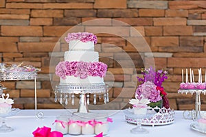 Cake pops and cupcakes