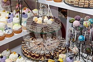 Cake pops and lollipops, colorful cupcakes, confectionery buffet