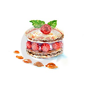 The cake round shape dessert cake watercolor