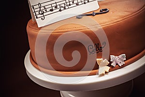 Cake In Shape of Piano and Cello