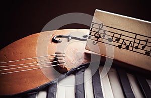 Cake In Shape of Piano and Cello