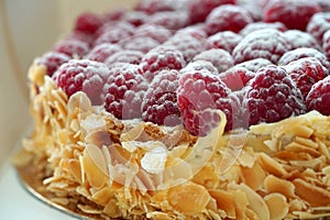 A cake thickly covered with raspberries decorated with powder sugar.