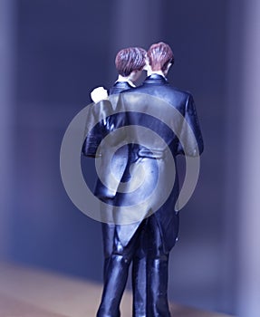 Cake topper gay wedding couple