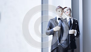 Cake topper gay wedding couple