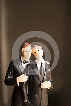 Cake topper gay wedding couple