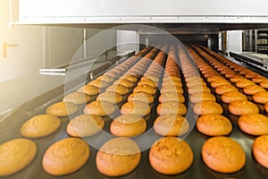 Cakes on automatic conveyor belt or line, process of baking in confectionery culinary factory or plant. Food industry