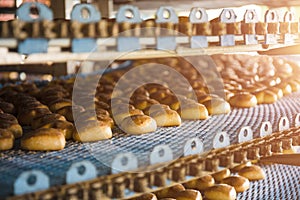 Cakes on automatic conveyor belt or line, process of baking in confectionery culinary factory or plant. Food industry