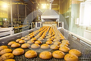 Cakes on automatic conveyor belt or line, process of baking in confectionery culinary factory or plant. Food industry