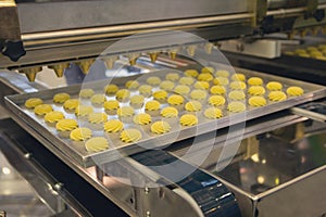 Cakes on automatic conveyor belt or line, process of baking in confectionery factory