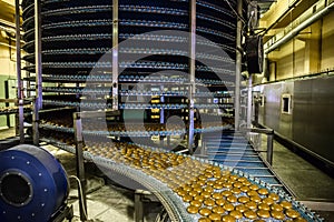 Cakes on automatic conveyor belt or line, process of baking in confectionery factory. Food industry, cookie production