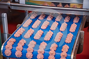Cakes on automatic conveyor belt , process of baking in confectionery factory