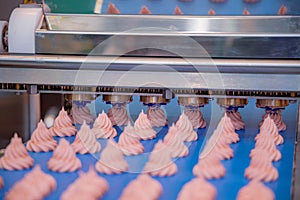 Cakes on automatic conveyor belt , process of baking in confectionery factory