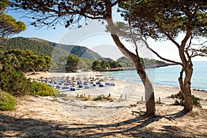 Cala Agulla beach in Cala Ratjada on Majorca island, Spain Medi photo