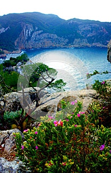 Cala Dalbarque in Ibiza winter with ocean view photo