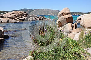 Cala Delle vacche Sardinia Italy