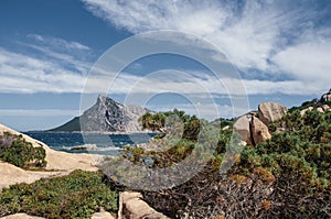 Cala Delle vacche Sardinia Italy