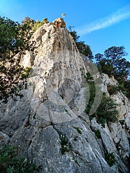 Cala fuili seaside rocky bay by cala gonone in sardegna