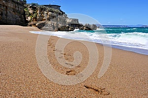 Cala Illa Roja beach in the Costa Brava, in Catalonia, Spain photo