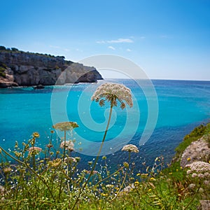 Cala Macarella Menorca turquoise Balearic Mediterranean photo