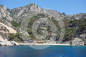 Cala Maestra beach at Isle of Montecristo in Portoferraio photo