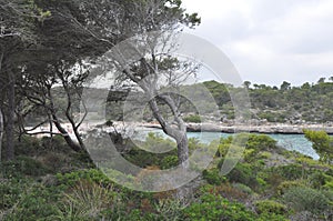 Cala Mondrago beach in Majorca