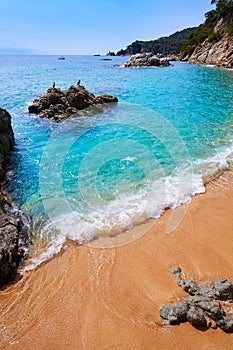 Cala Sa Boadella platja beach in Lloret de Mar photo