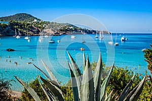 Cala Tarida in Ibiza beach San Jose at Balearic Islands