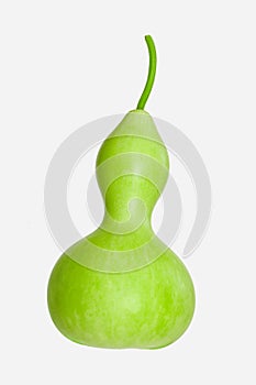 Calabash - Bottle Gourd