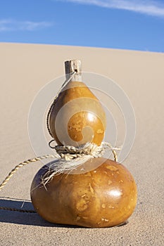 Calabash bottle gourd in desert