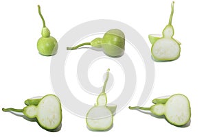 Calabash, Bottle Gourd